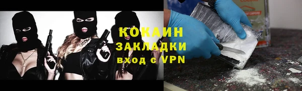 крисы Гусев