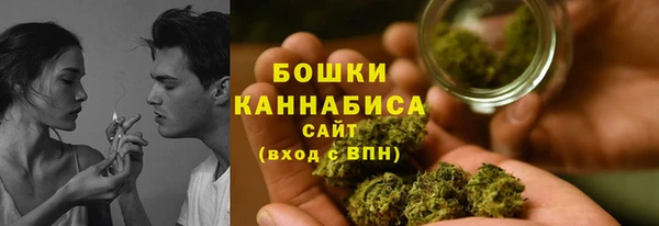 крисы Гусев
