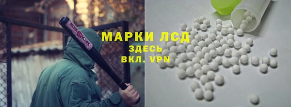 крисы Гусев