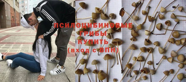 крисы Гусев