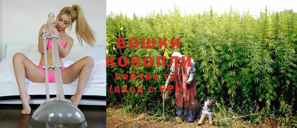 крисы Гусев