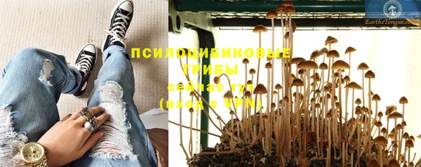 крисы Гусев
