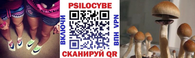где найти   MEGA ТОР  Галлюциногенные грибы Psilocybine cubensis  Евпатория 